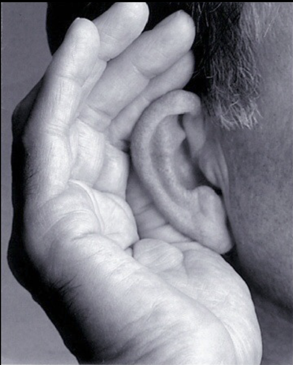 Illustration of the human ear and hearing pathway