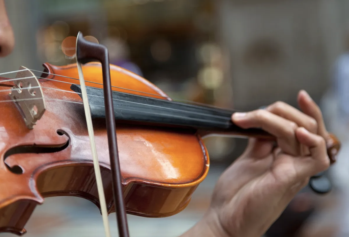 Violin illustration showing body and strings